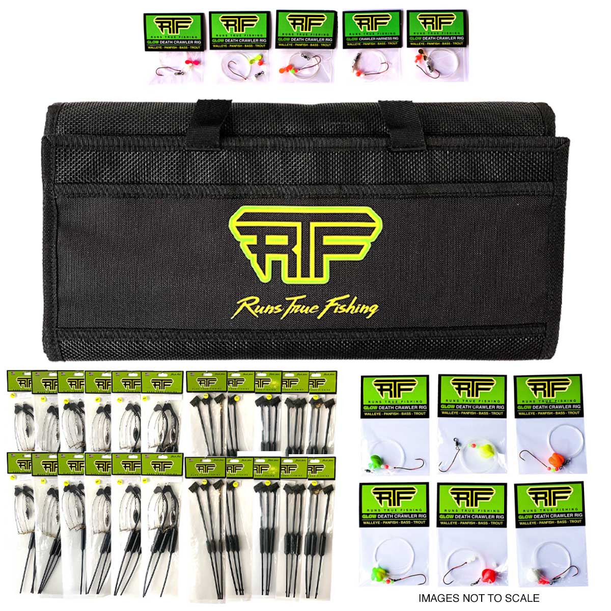 RTF GINORMOUS Dakota Flash Bouncer & Bag Bundle