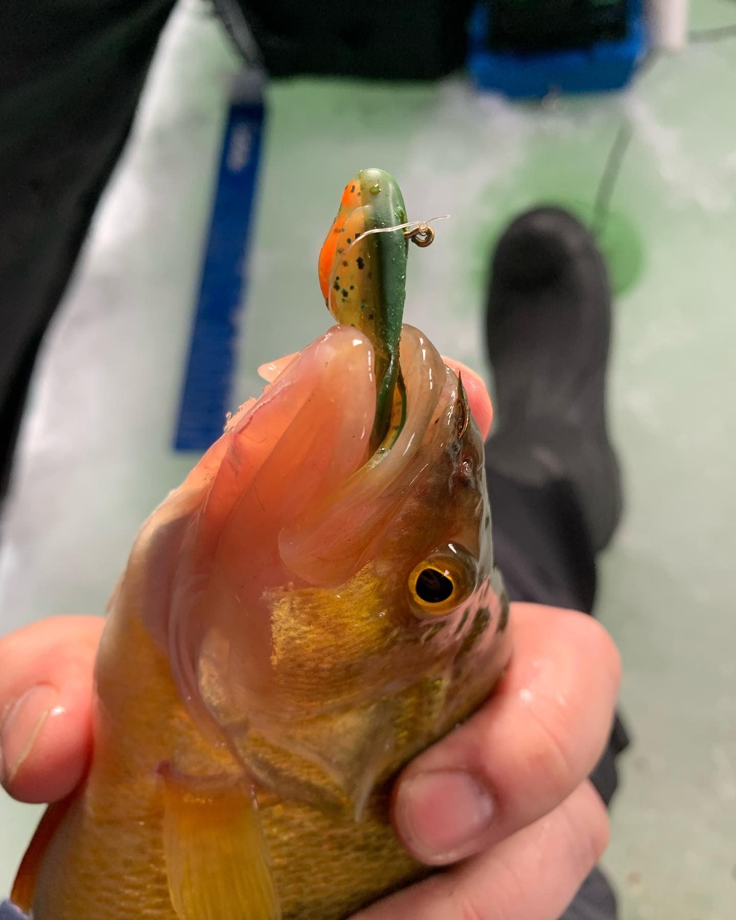 RTF 2" Minnow Tubes - Pre-Rigged 1/16oz Tube Jig - 10PK Kit
