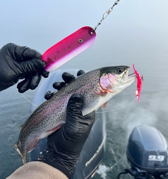dodger fishing lure Luhr Jensen 4/0 Trout & Kokanee Seattle Company KOKOPROS Kokanee Salmon 4 1/2"
